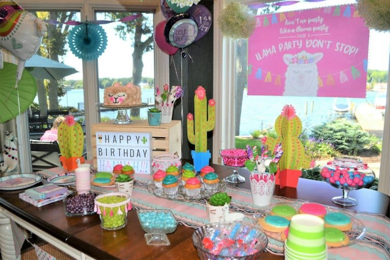 Themed birthday party celebration at home