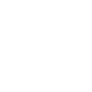 Event Maestro Entertainment|Connect